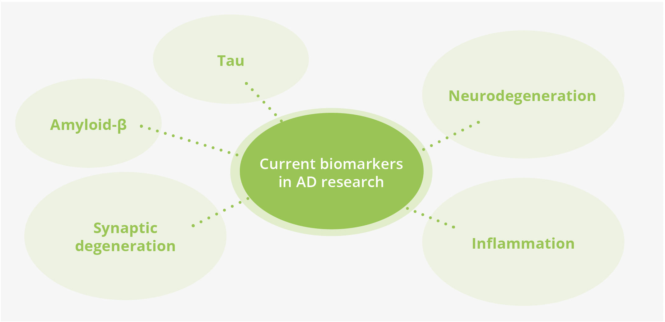 Current biomarkers in AD research include tau, amyloid-beta, neurodegeneration, synaptic degeneration and inflammation