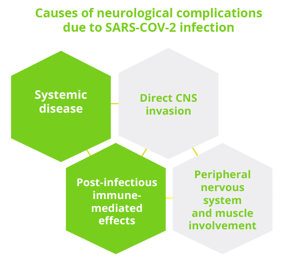 Four causes of neurological complications due to SARS-CoV-2 infection have been identified