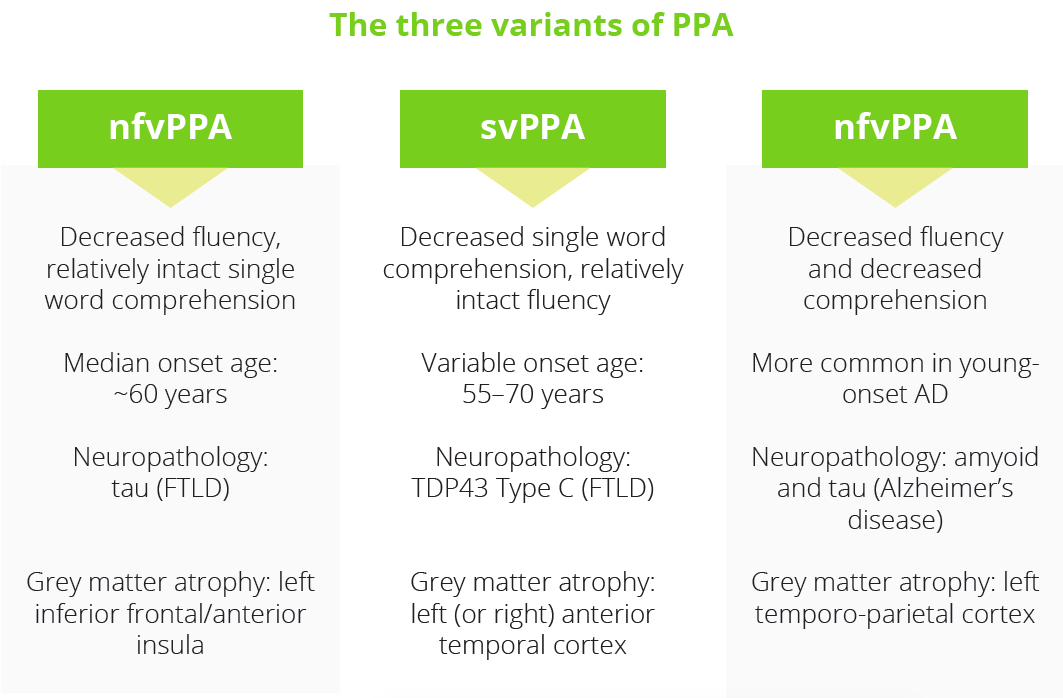 The three variants of PPA are nfvPPA, svPPA and nfvPPA