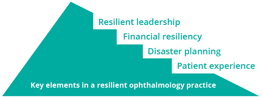 Elements of a resilient practice in COVID-19 are centered on leadership, financial resiliency, disaster planning and patient experience