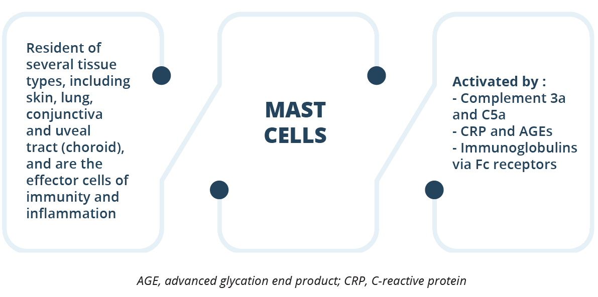 The role of mast cells