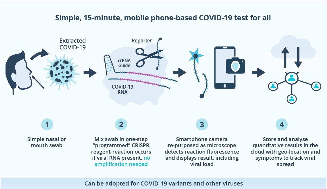 How a mobile phone COVID-19 test can be applied and adapted