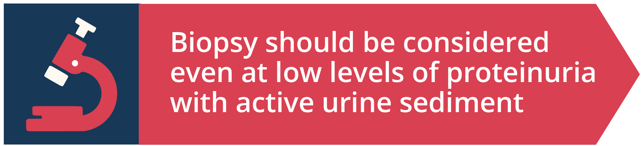 Biospy should be considered even at low levels of proteinuria with active urine sediment