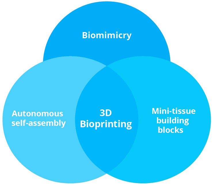 Approaches to 3D bioprinting include biomimicry, autonomous self-assembly and mini-tissue building blocks