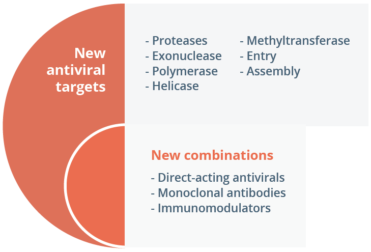 There are numerous new antiviral targets for SARS-CoV-2 replication