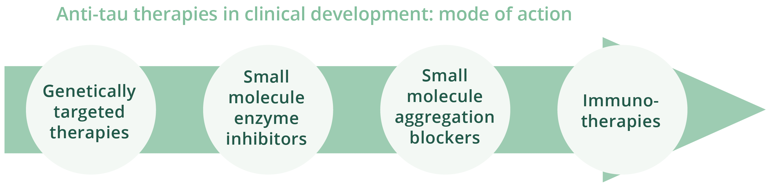 Anti-tau therapies in clinical development include genetically targeted therapies, small molecule enzyme inhibitors, small molecule aggregation blockers, small molecule enhancers and immunotherapies