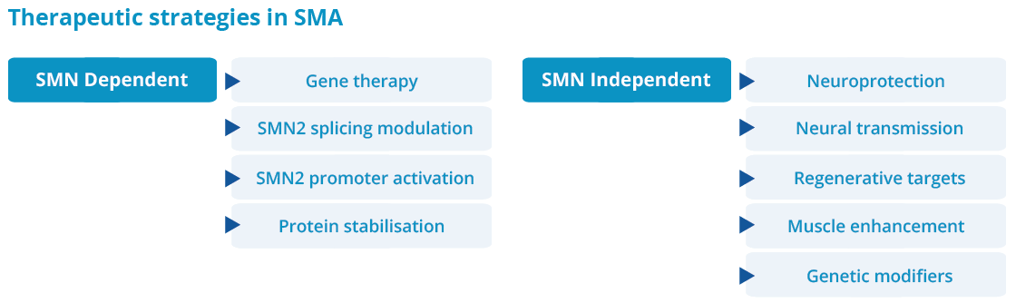 A Therapeutic strategies can be SMN dependent or independent