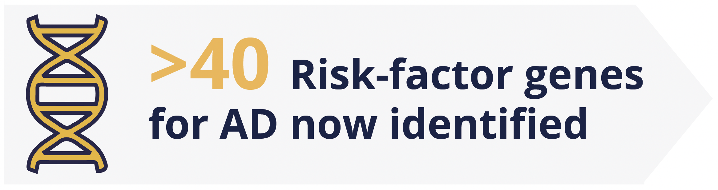 40 risk-factor genes for AD have now been identified