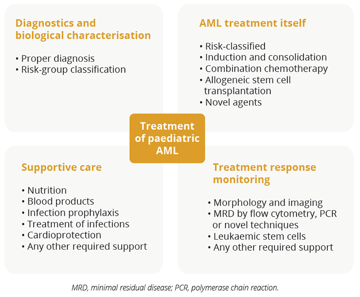 Optimal risk-group stratified treatment of patients with paediatric AML