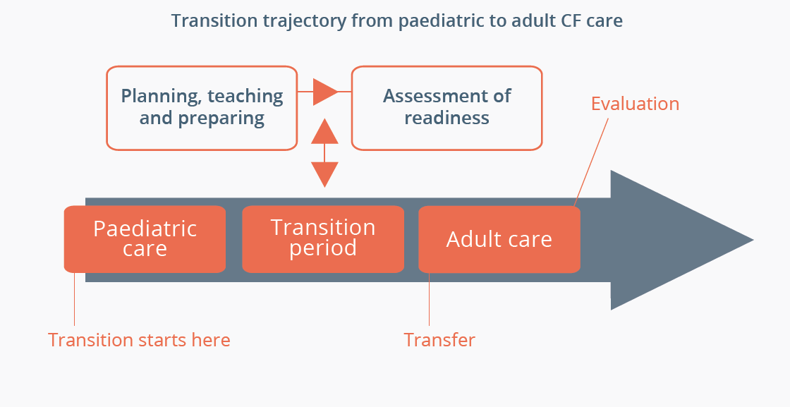 Transition programmes from paediatric to adult CF care.