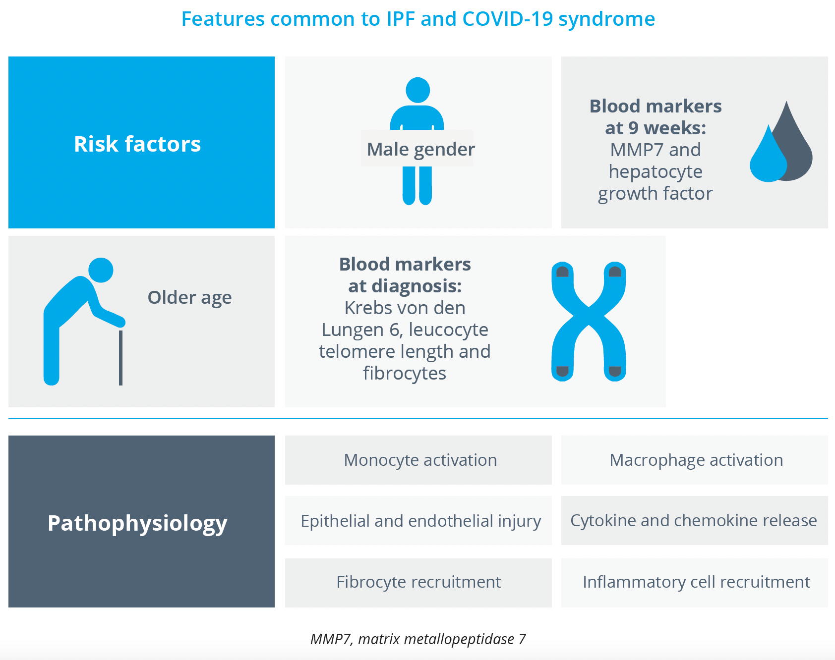 Risk factors and pathophysiological features common to IPF and COVID-19