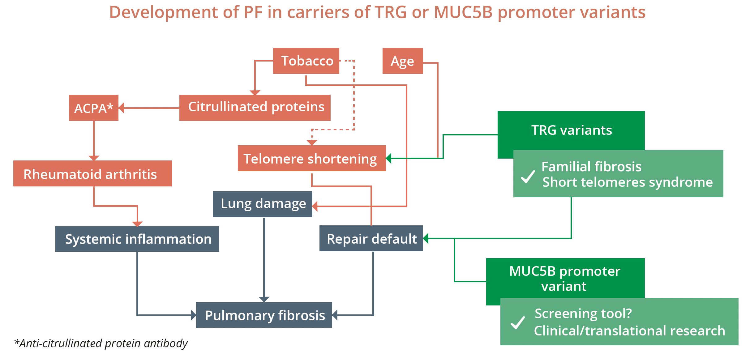 Development of pulmonary fibrosis in carriers of TRG or MUC5B promoter variants