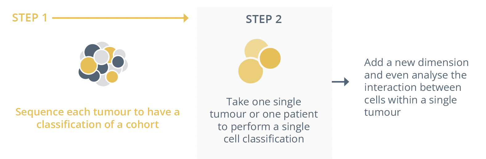 Step 1 would be to sequence each tumour to have a classification of a cohort. The second step would include taking one single tumour
