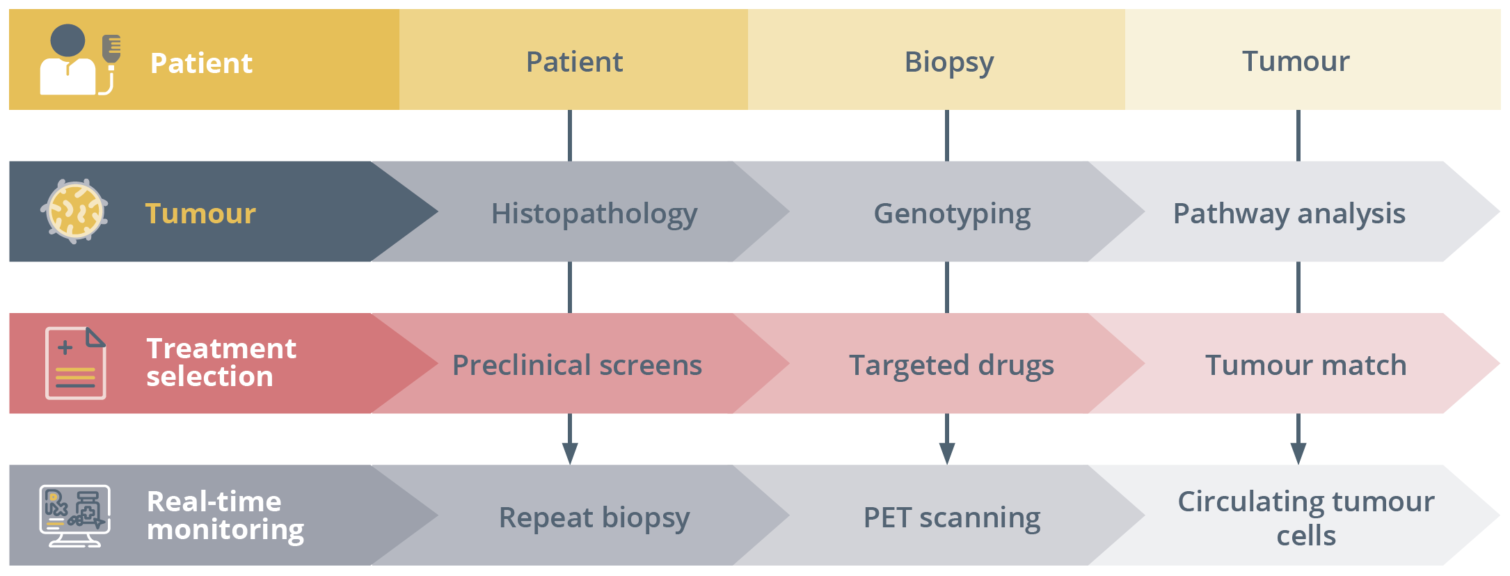 The patient's cancer undergoes biopsy for detailed biomarker analysis