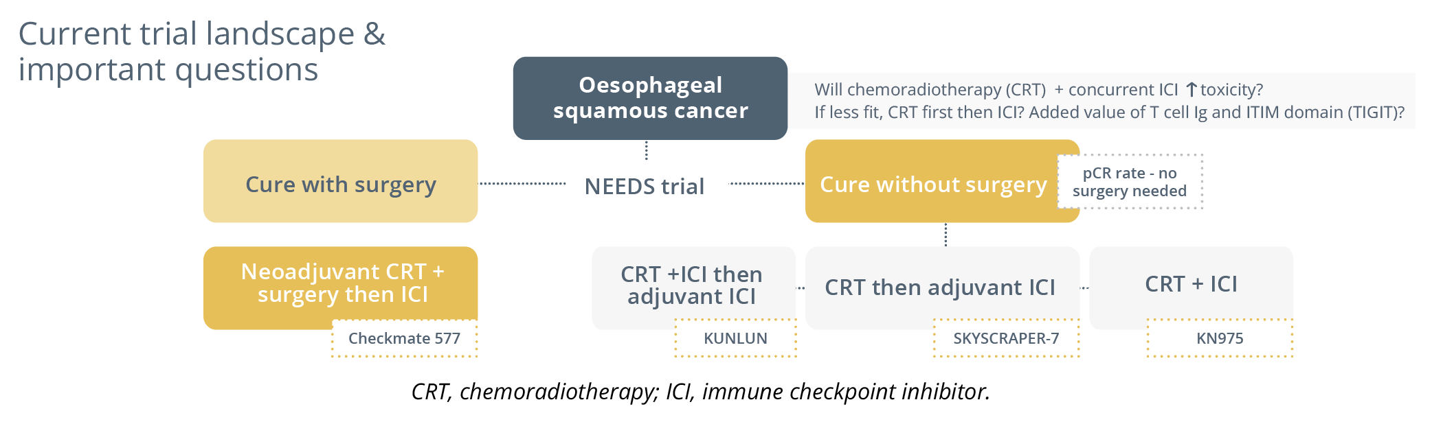 The current trial landscape for oesophageal squamous cancer patients, including surgical and non-surgical approaches.