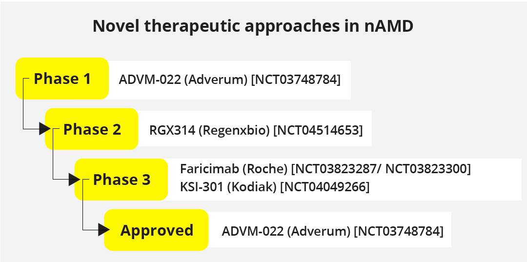 Novel approaches in the pipeline for nAMD