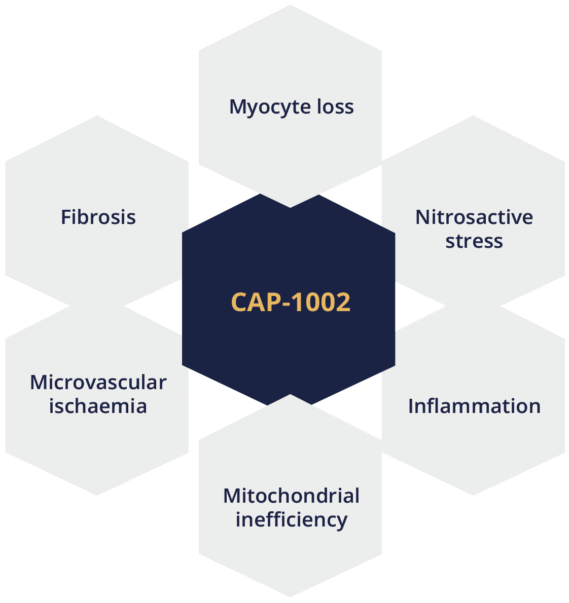 CAP-1002 targets multiple disease processes in DMD including myocyte loss, nitrosactive stress, inflammation, mitochondrial inefficiency, microvascular ischaemia and fibrosis