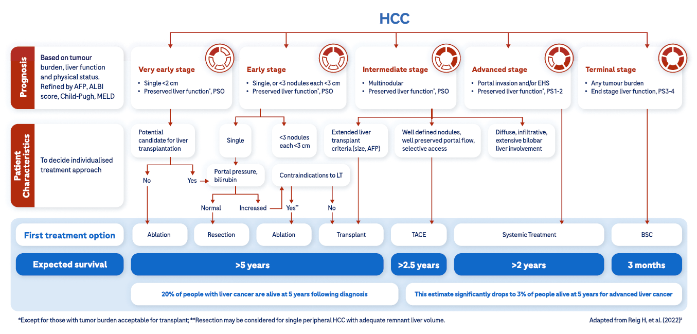 Flow chart showing the BCLC staging system and how treatment options and survival change through staging, demonstrating that early stage
diagnosis of hepatocellular carcinoma leads to a better prognosis for
HCC treatment outcomes.